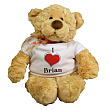 I Love Teddy Bear 886125